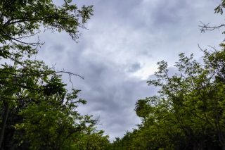 Κακοκαιρία: Βροχές, θυελλώδεις βοριάδες και αρκετό κρύο